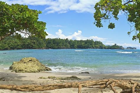 tripadvisor manuel antonio|Iba pa.